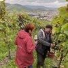 weinjahr-2021
