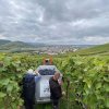 weinjahr-2021