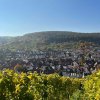 weinjahr-2021