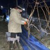weinjahr-2021