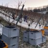 weinjahr-2021