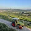weinjahr-2021
