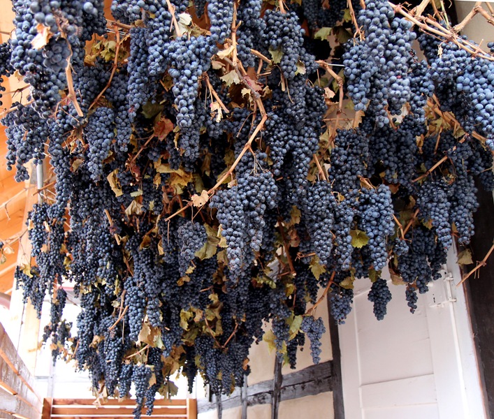 Das Weingut Kuhnle hat einen bsonderen Wein aus getrockneten Trauben gekeltert, der etwas staubig schmeckt, ziemlich reinhaut und eigentlich gar kein Wein ist. Ähnlich dem Amarone oder dem Ricioto in Norditalien.Foto - Pavlovic                 U N B E R B E I T E T